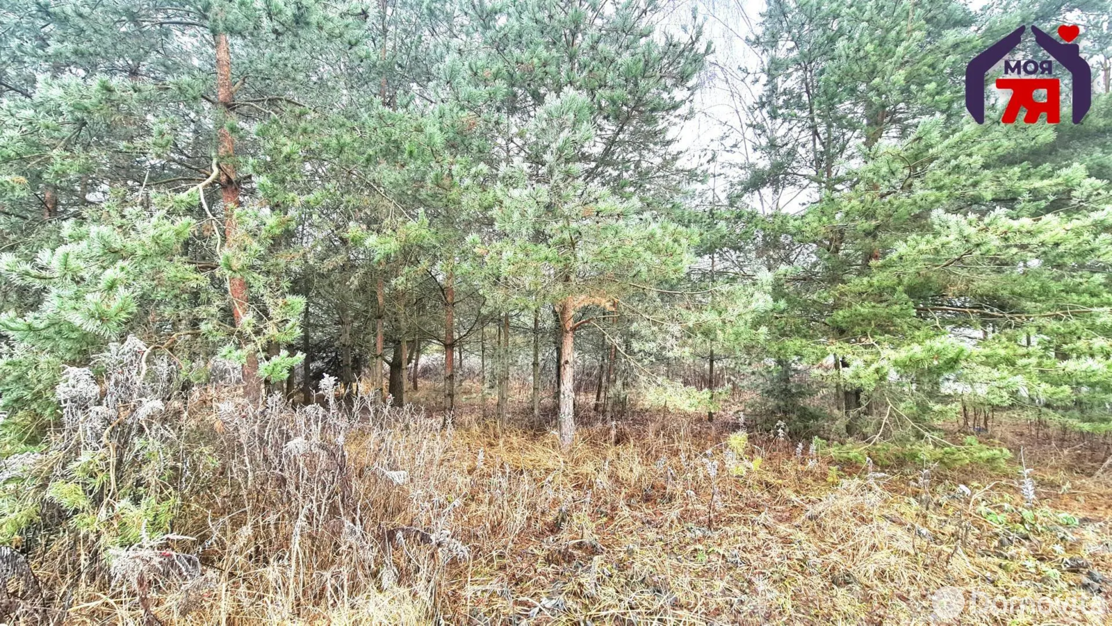 Продажа 1-этажной дачи в Мельковичи Минская область, 15000USD, код 184731 - фото 22