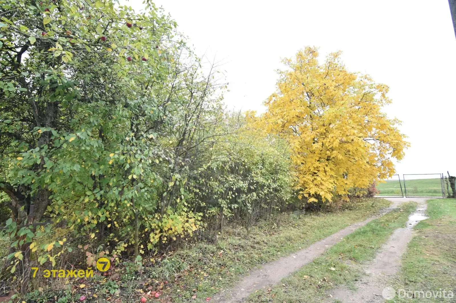 Стоимость продажи участка, Колосок, 