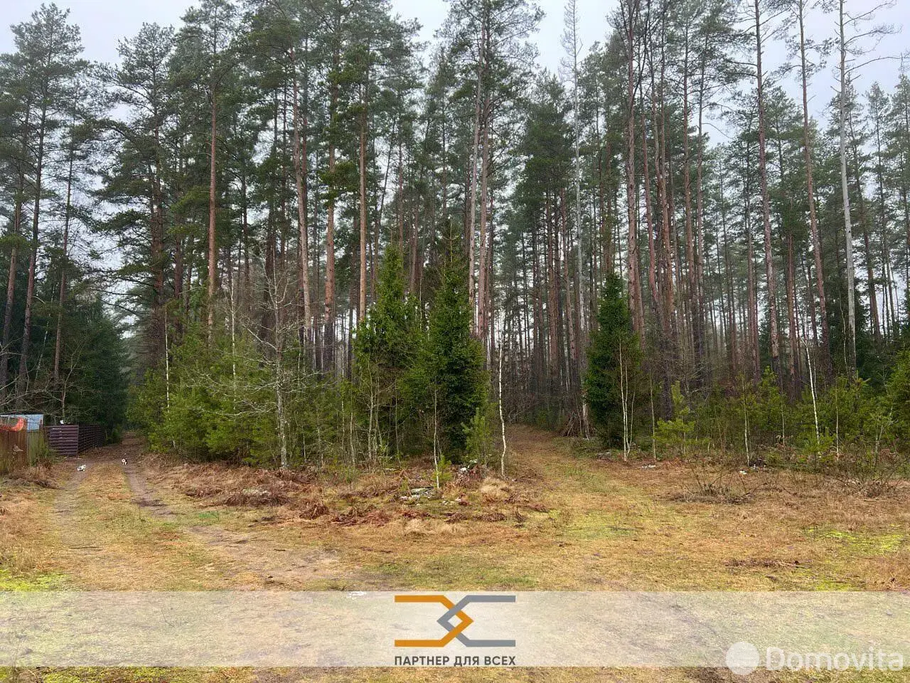 Продажа 2-этажной дачи в Сосновый Минская область, 19500USD, код 184707 - фото 38