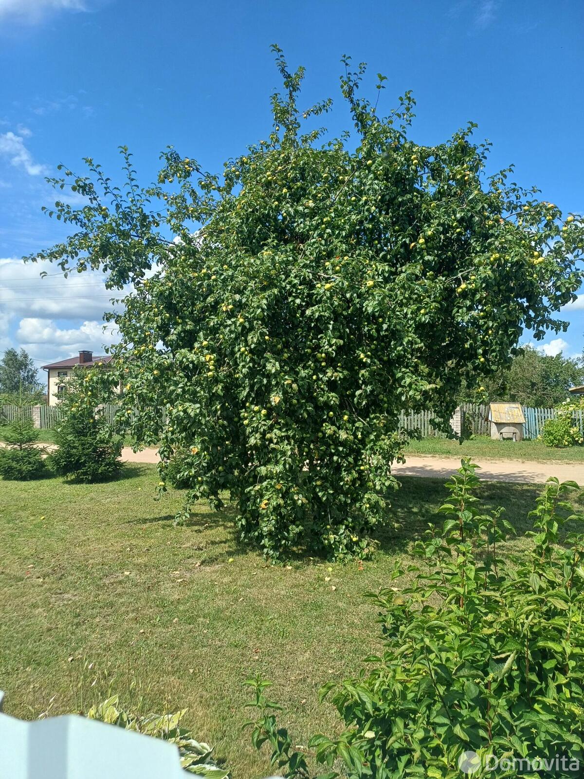 купить дачу, Замостье, 