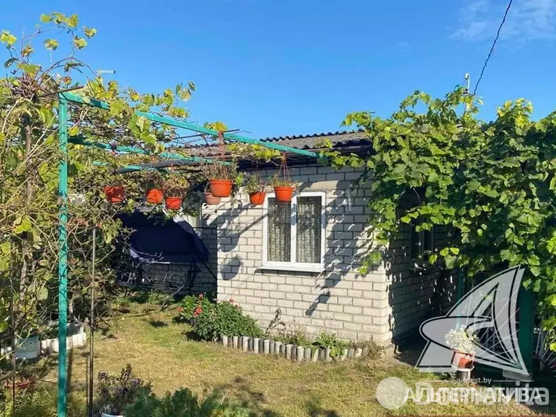 дача, Молодая гвардия 91, 