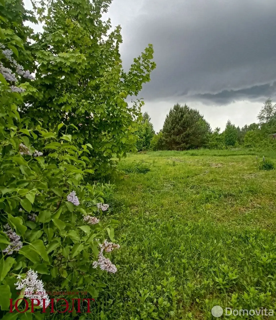 купить участок, Бибиревка, ул. Центральная