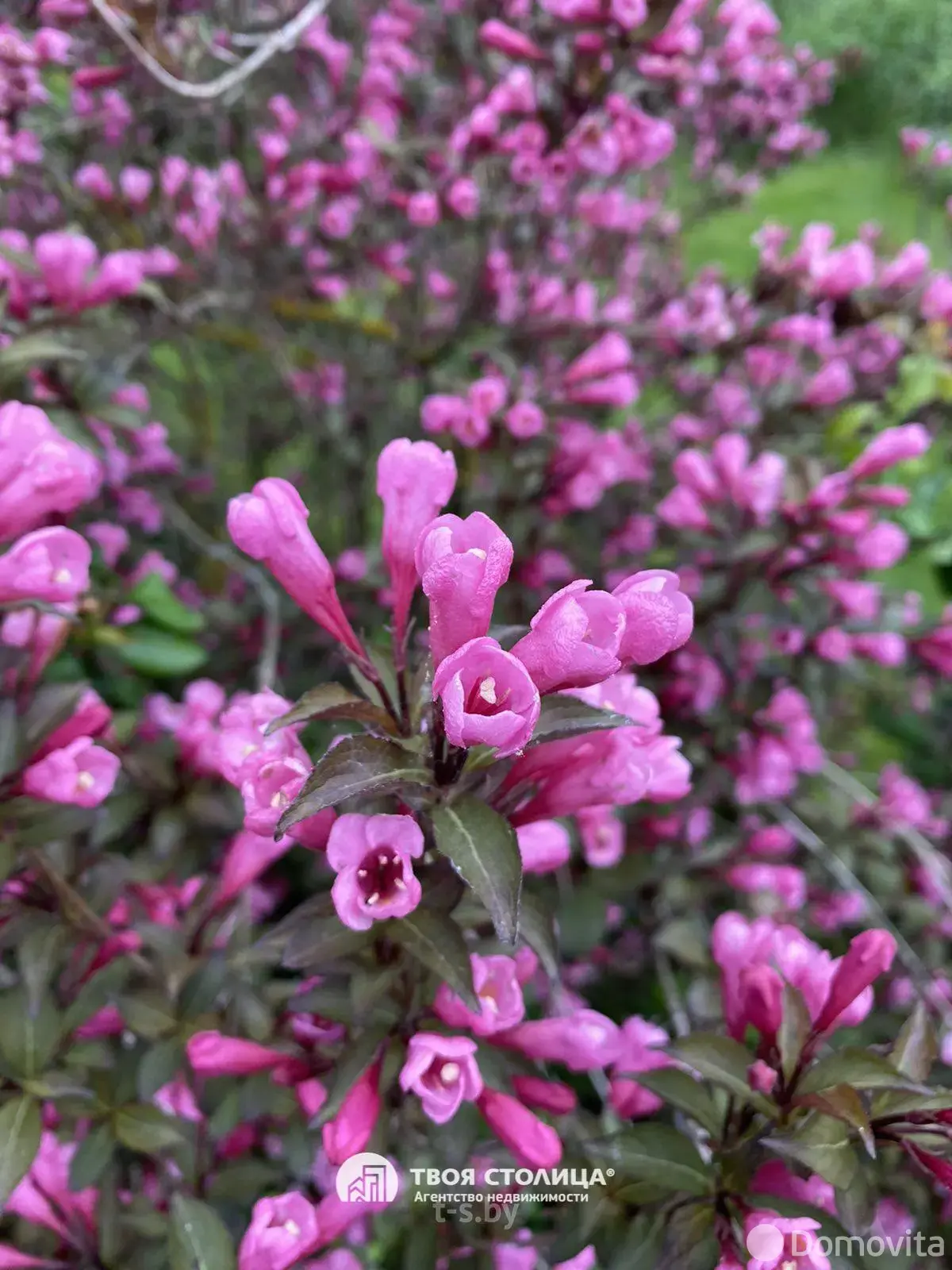 Купить 2-этажную дачу в Юхновке Минская область, 55000USD, код 181716 - фото 34