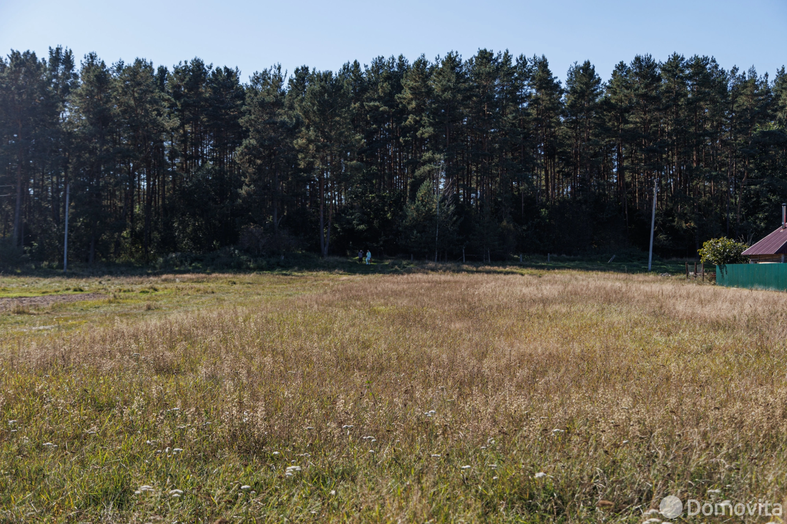 участок, Гливин, ул. Лесная 