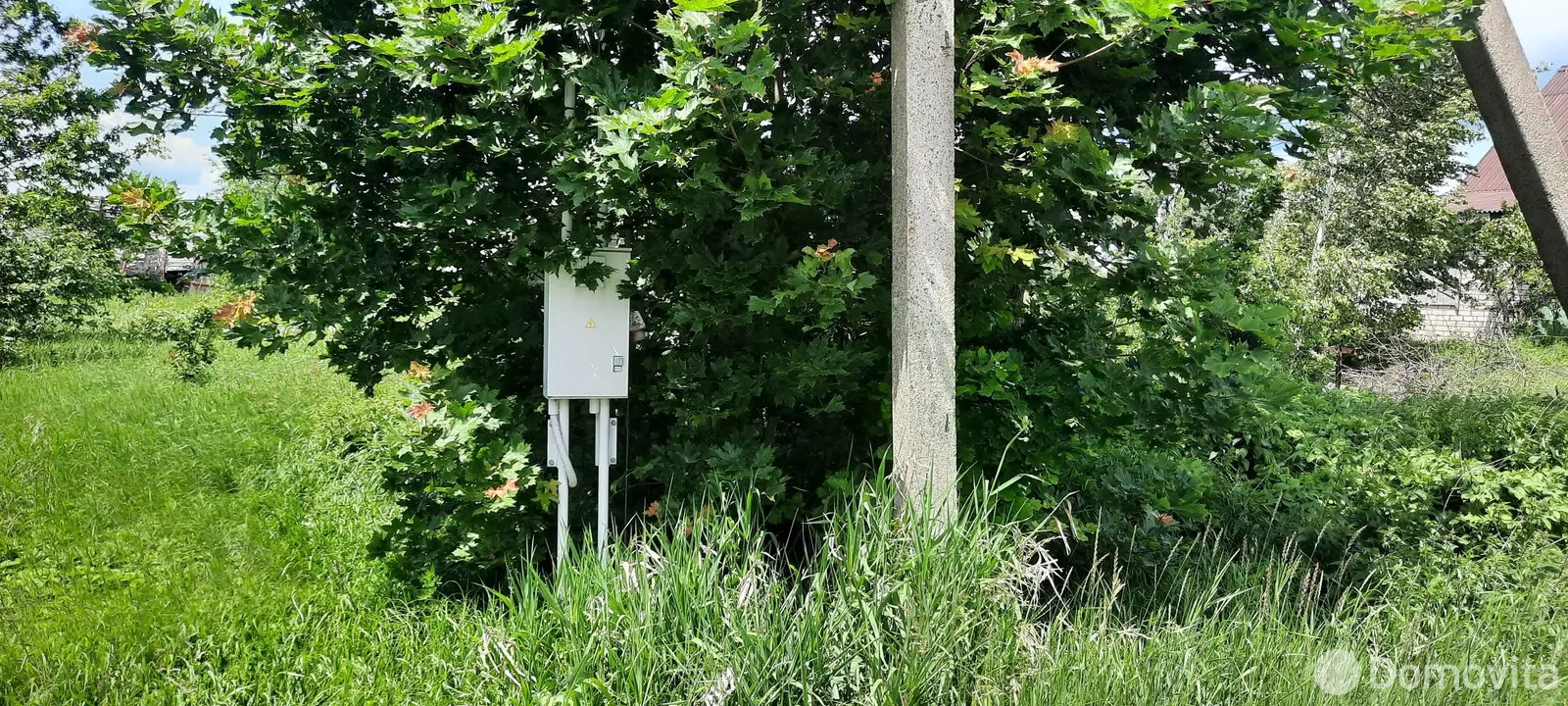 Купить земельный участок, 25 соток, Телядовичи, Минская область, 4000USD, код 570698 - фото 14