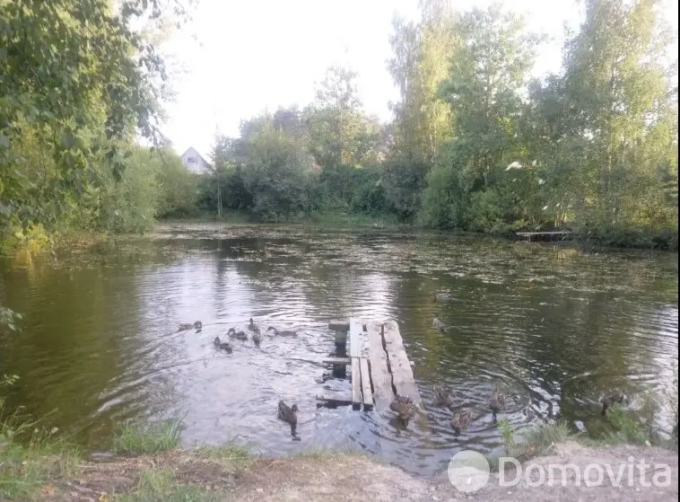 участок, Планета-2001, 