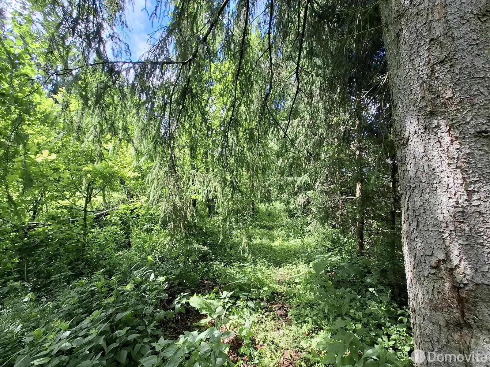 Продажа 2-этажной дачи в Вилия-Лошаны Минская область, 35000USD, код 183365 - фото 31