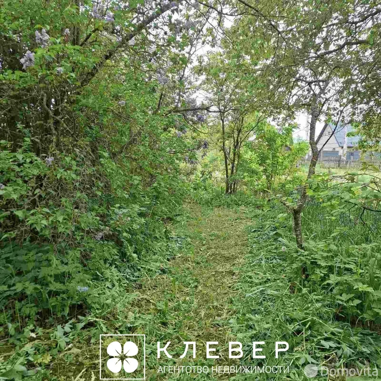 участок, Дещенка, ул. Центральная, д. 17