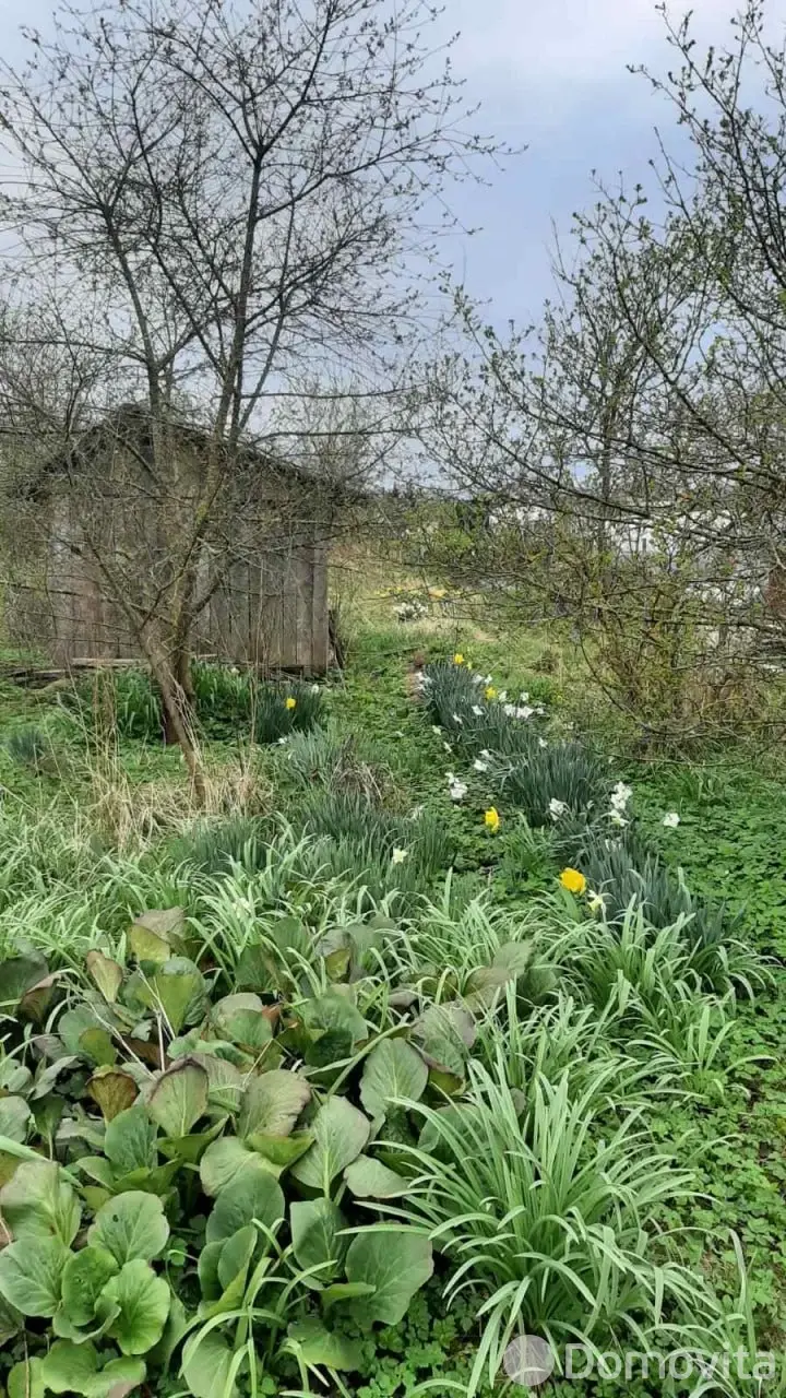 Цена продажи дачи, Дричин, 