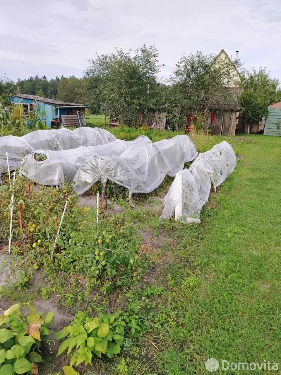 участок, Бытовик-92,