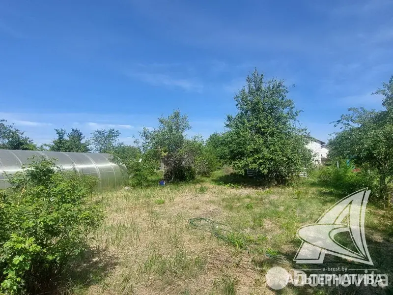 дача, Транспортник-91, 