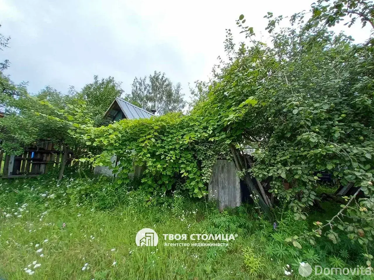 Продажа 1-этажной дачи в Усяже Минская область, 51935BYN, код 186517 - фото 12