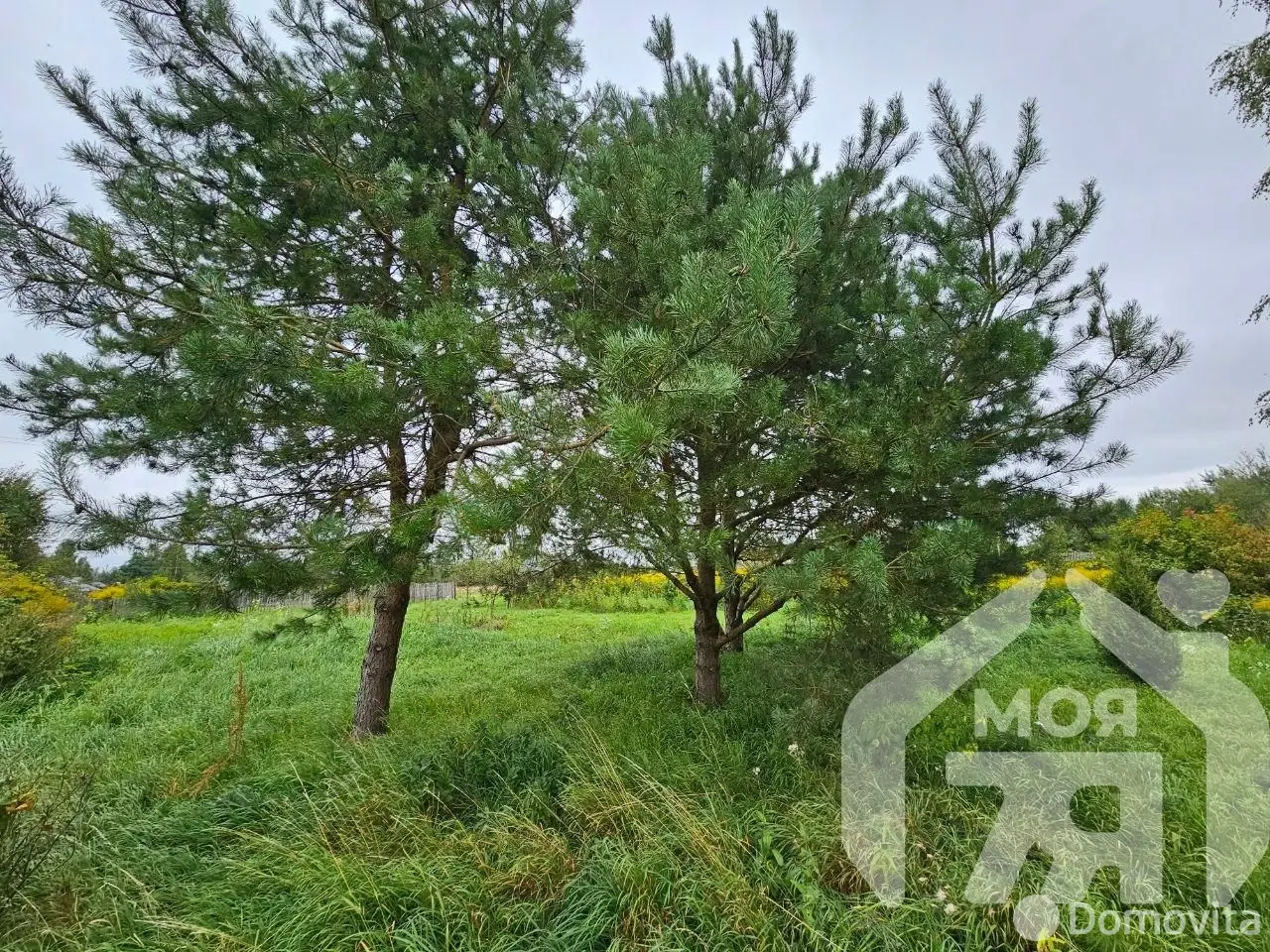 Купить земельный участок, 11.1 соток, Зрок-2, Минская область, 3500USD, код 571012 - фото 11