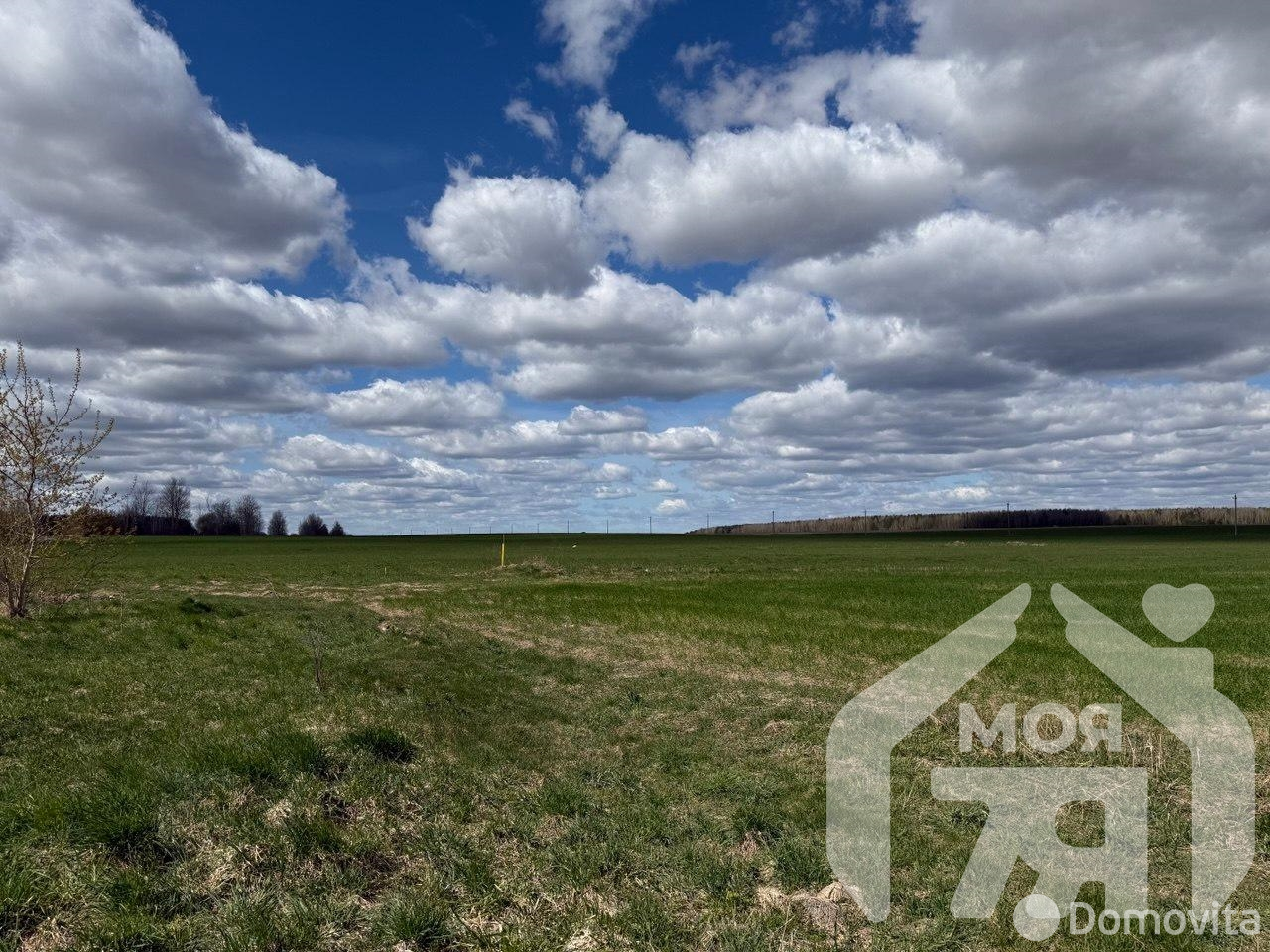 дом, Рабунь, ул. Школьная 