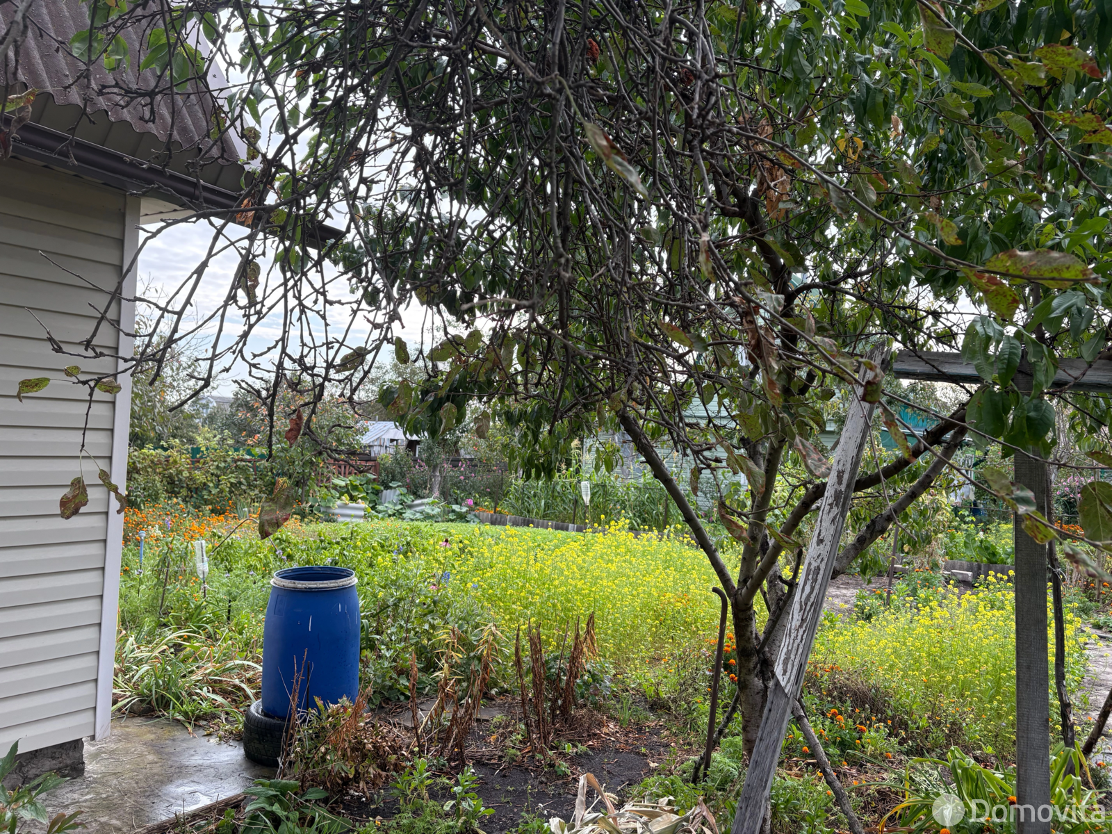 продажа дачи, Мозырь, ул. Садовая, д. 12