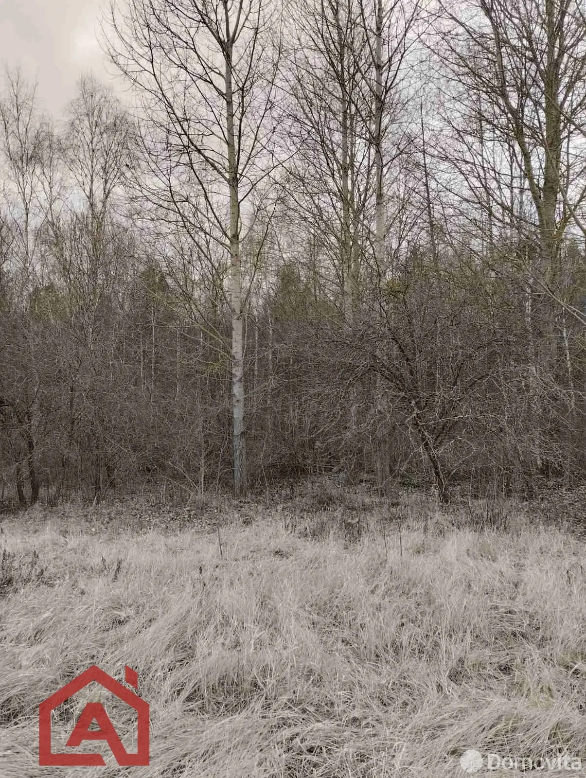 Купить 2-этажную дачу в Труд МЗАЛ Минская область, 6950USD, код 185447 - фото 12