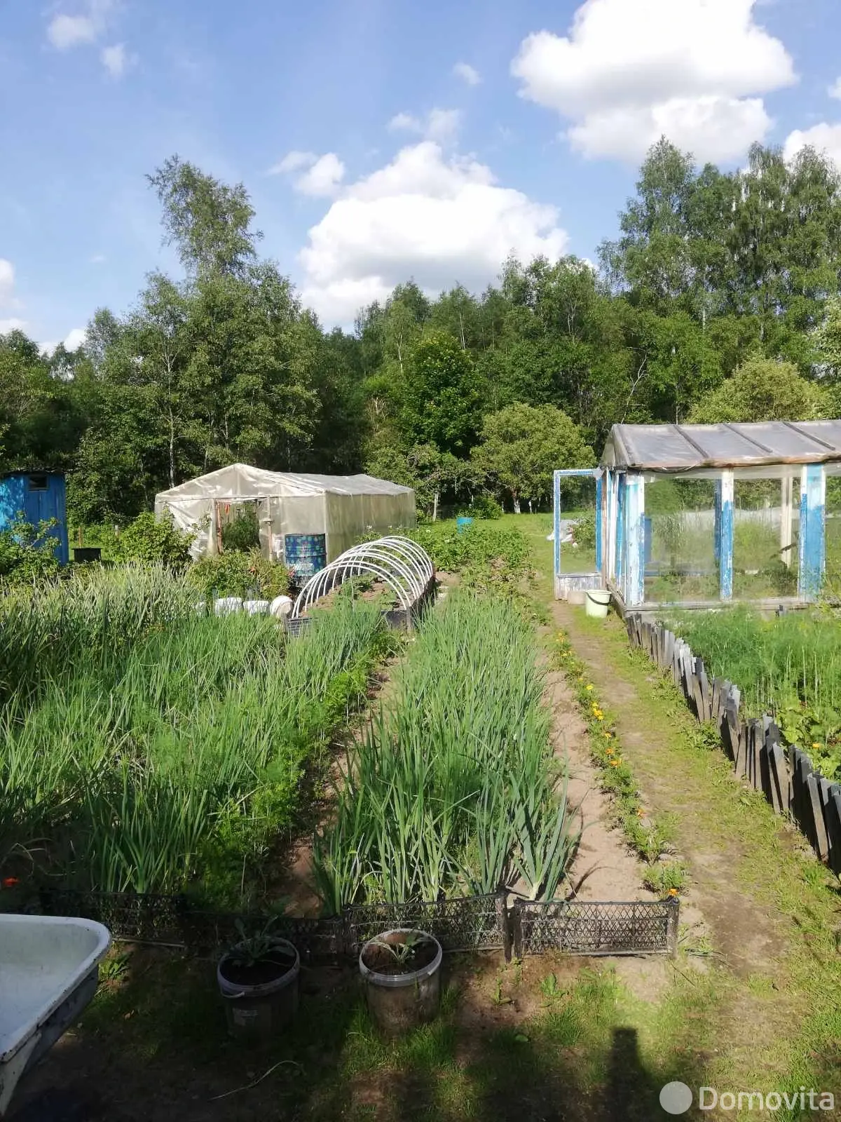 дача, Подозерцы, 