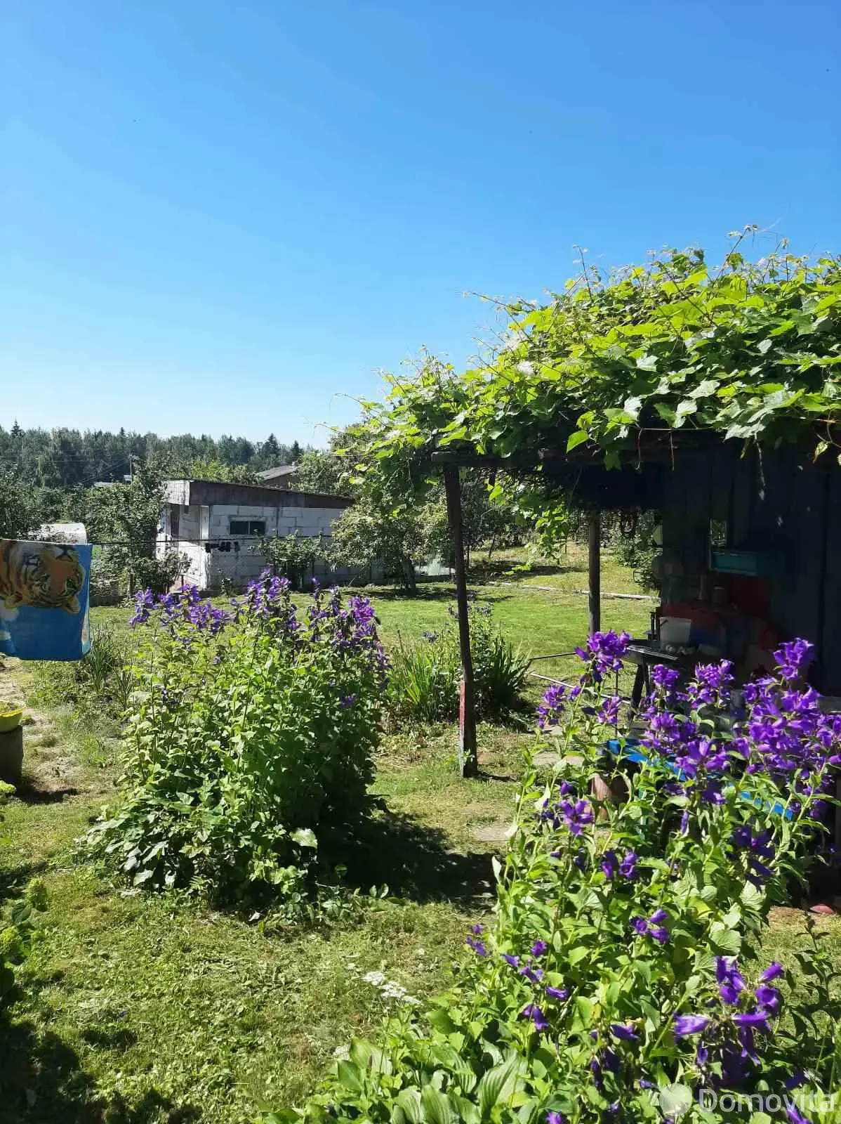 дача, Огородники, 