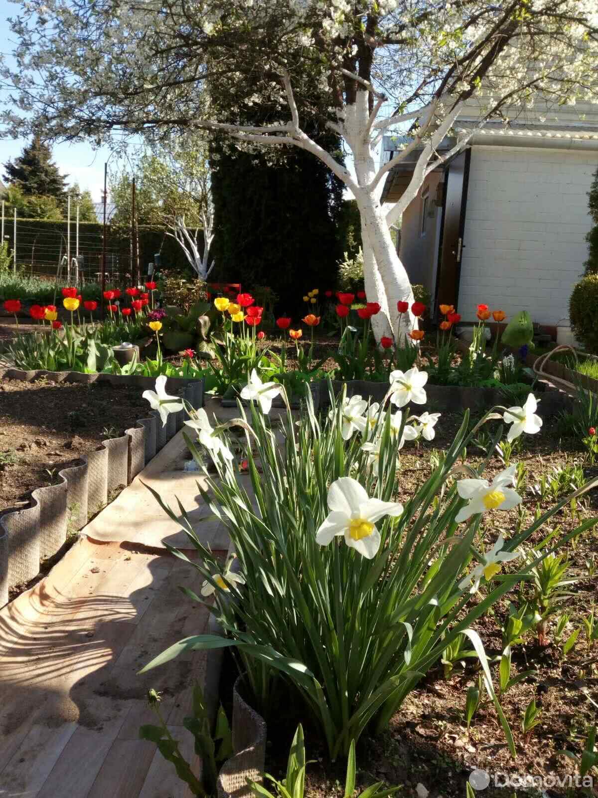 Продажа 2-этажной дачи в Вежа-89 Минская область, 36000USD, код 179803 - фото 15