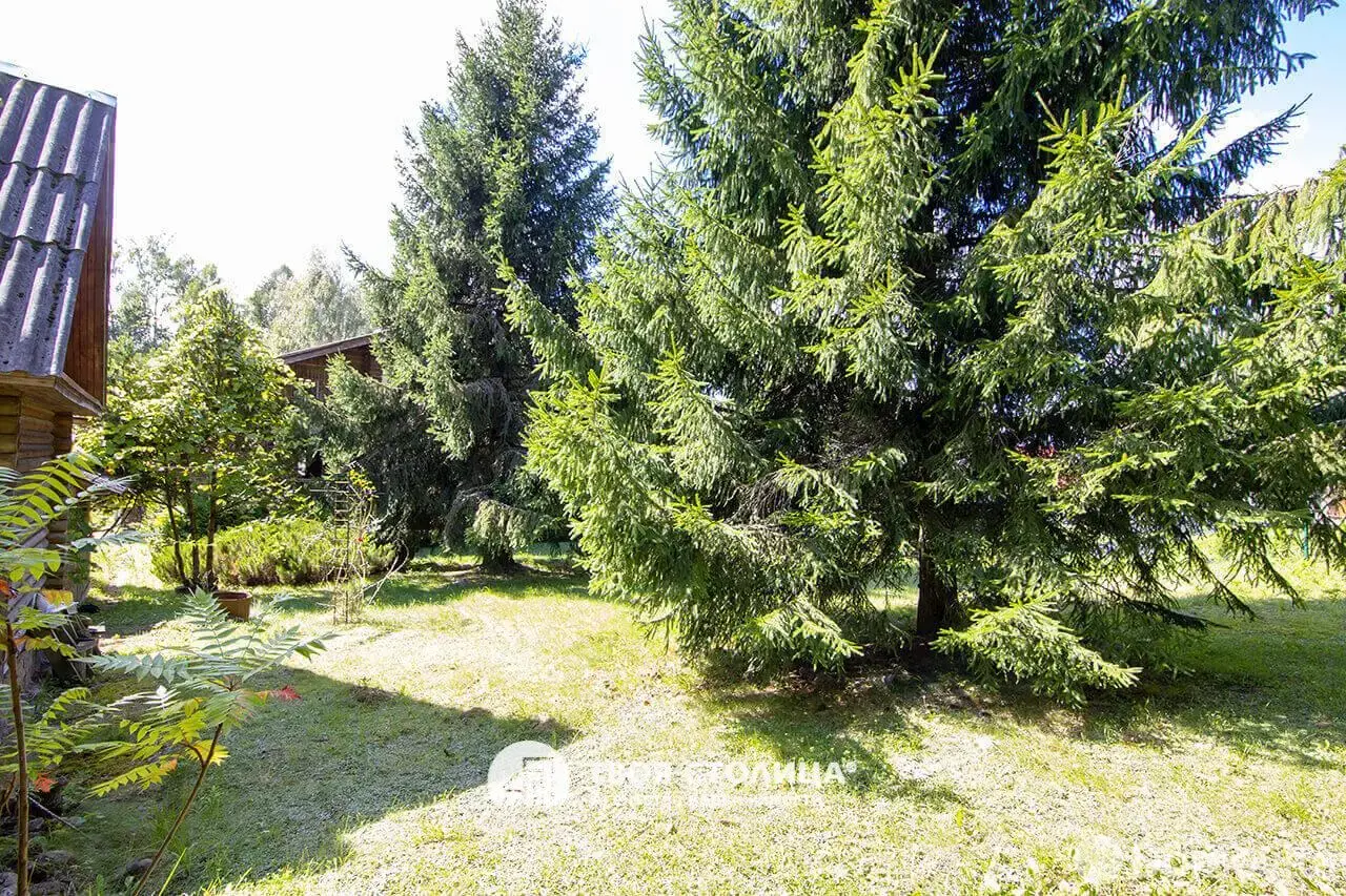 Купить 1-этажную дачу в Слободе Минская область, 200000USD, код 183991 - фото 63