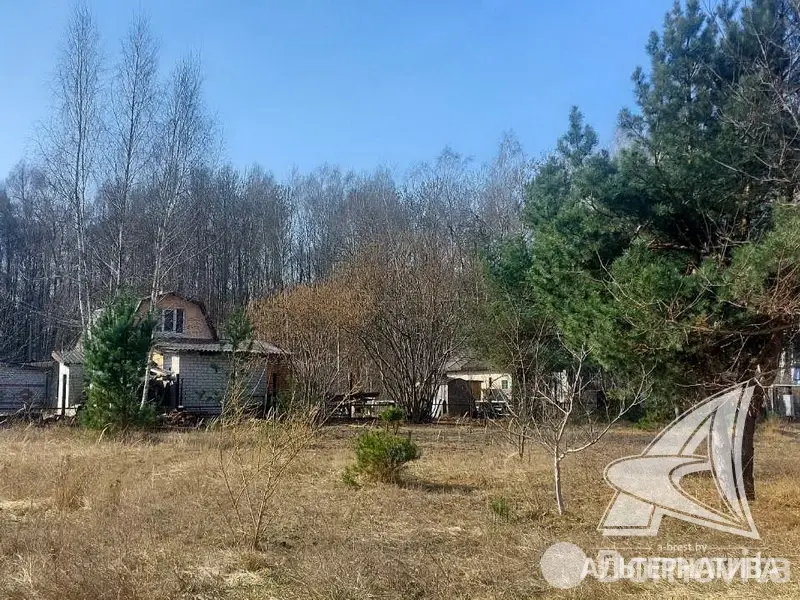 участок, Алеся-50, , стоимость продажи 41 016 р.