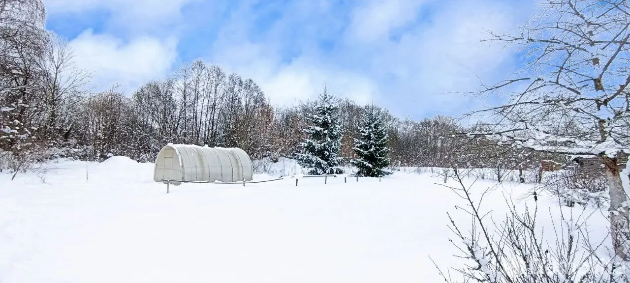 Цена продажи дома, Большие Летцы, ул. Ручьевая, д. 70