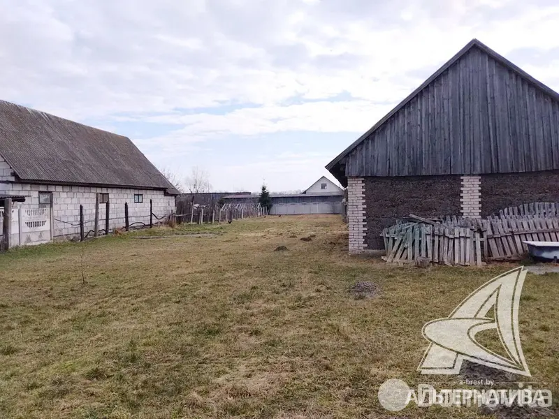 участок, Урожай ОАО Брестхлебопродукт, 