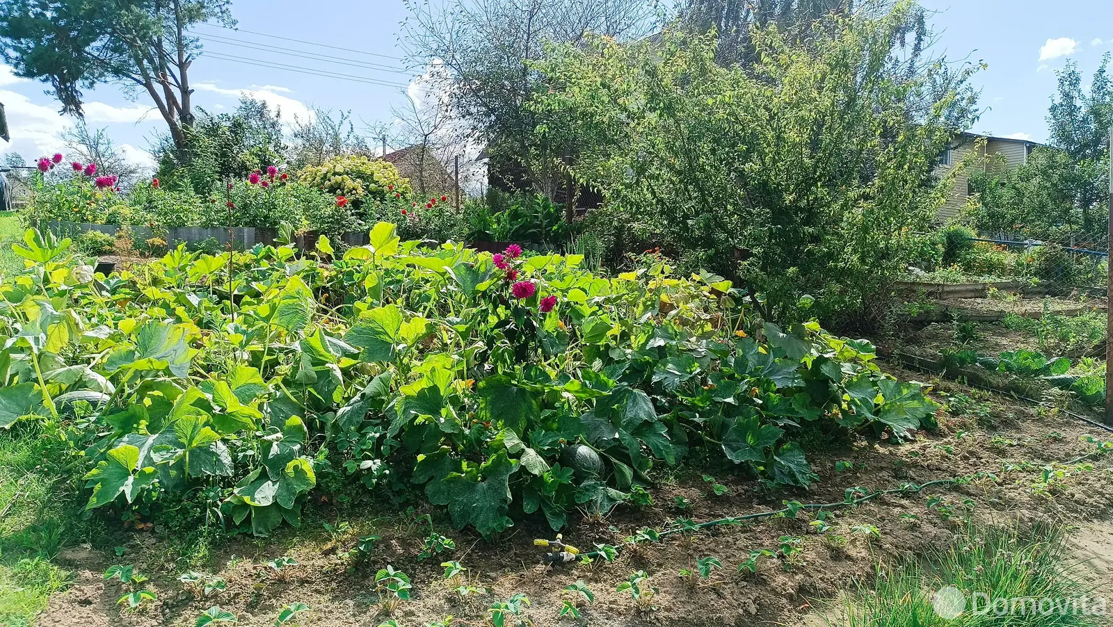 Купить 2-этажную дачу в Мэта Минская область, 70000USD, код 184131 - фото 33