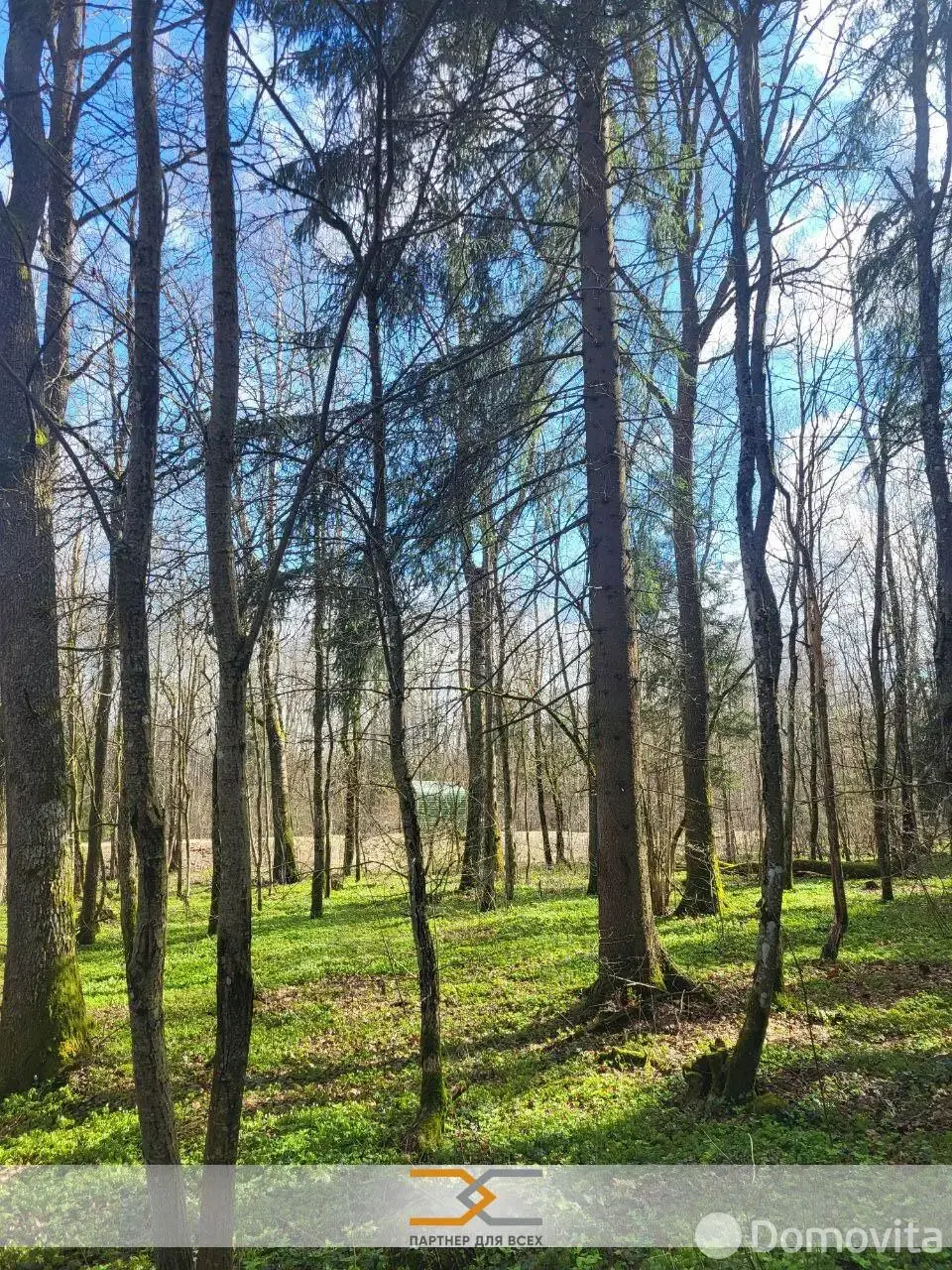 Продажа 2-этажной дачи в Пищевик Минская область, 17000USD, код 185477 - фото 12