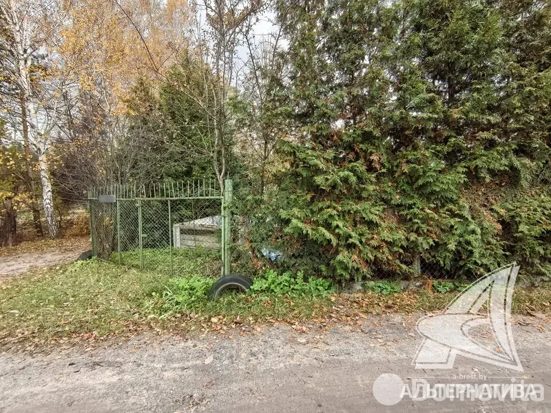 Продажа 1-этажной дачи в Машиностроитель Брестская область, 42000USD, код 184448 - фото 30