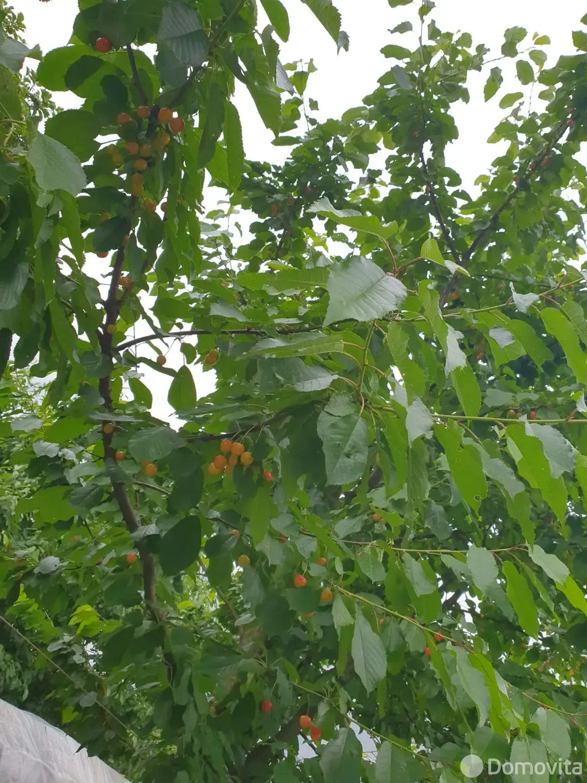 продажа участка, Планета-2001,