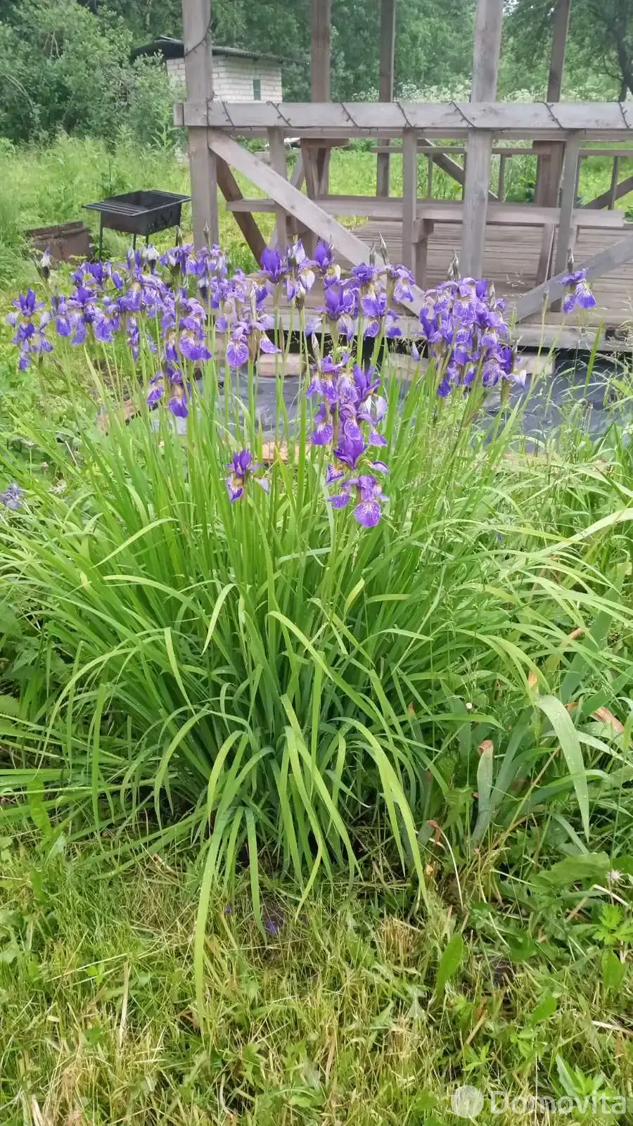 Купить 1-этажную дачу в Дружный ландыш Минская область, 15000USD, код 182498 - фото 11