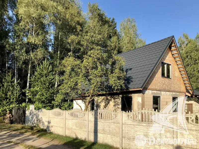 дача, Меркурий ТПП, 