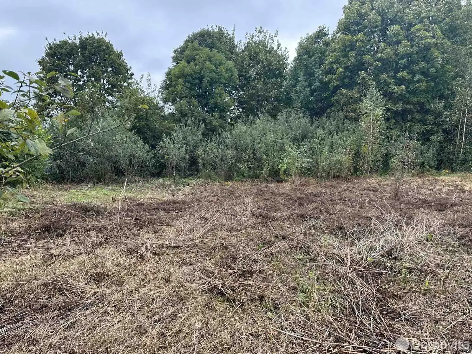 участок, Падеричи, 