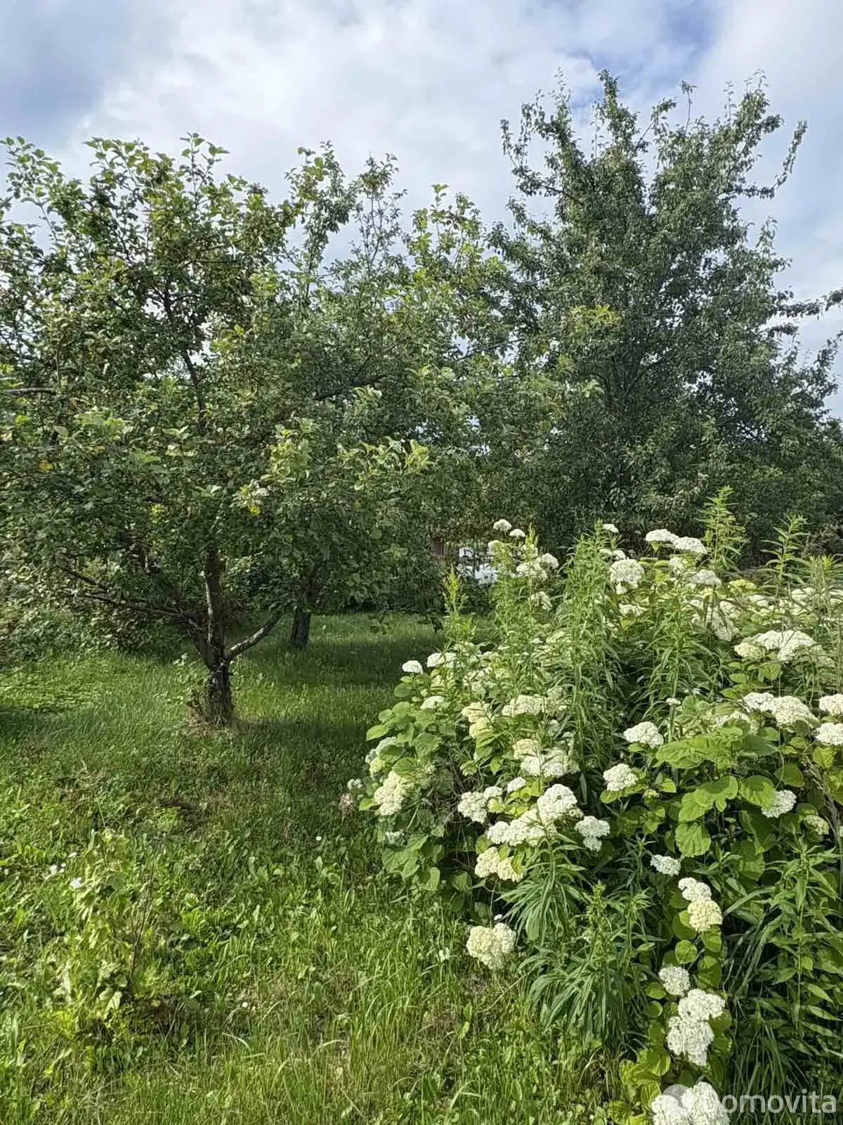 Купить 2-этажную дачу в Горки-1 Минская область, 20900USD, код 185571 - фото 24