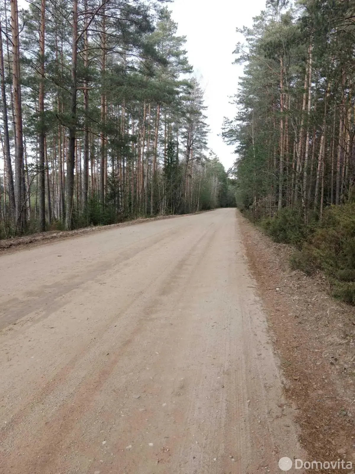 дача, ЛЕСНОЕ-ЛИВЬЕ, - лучшее предложение