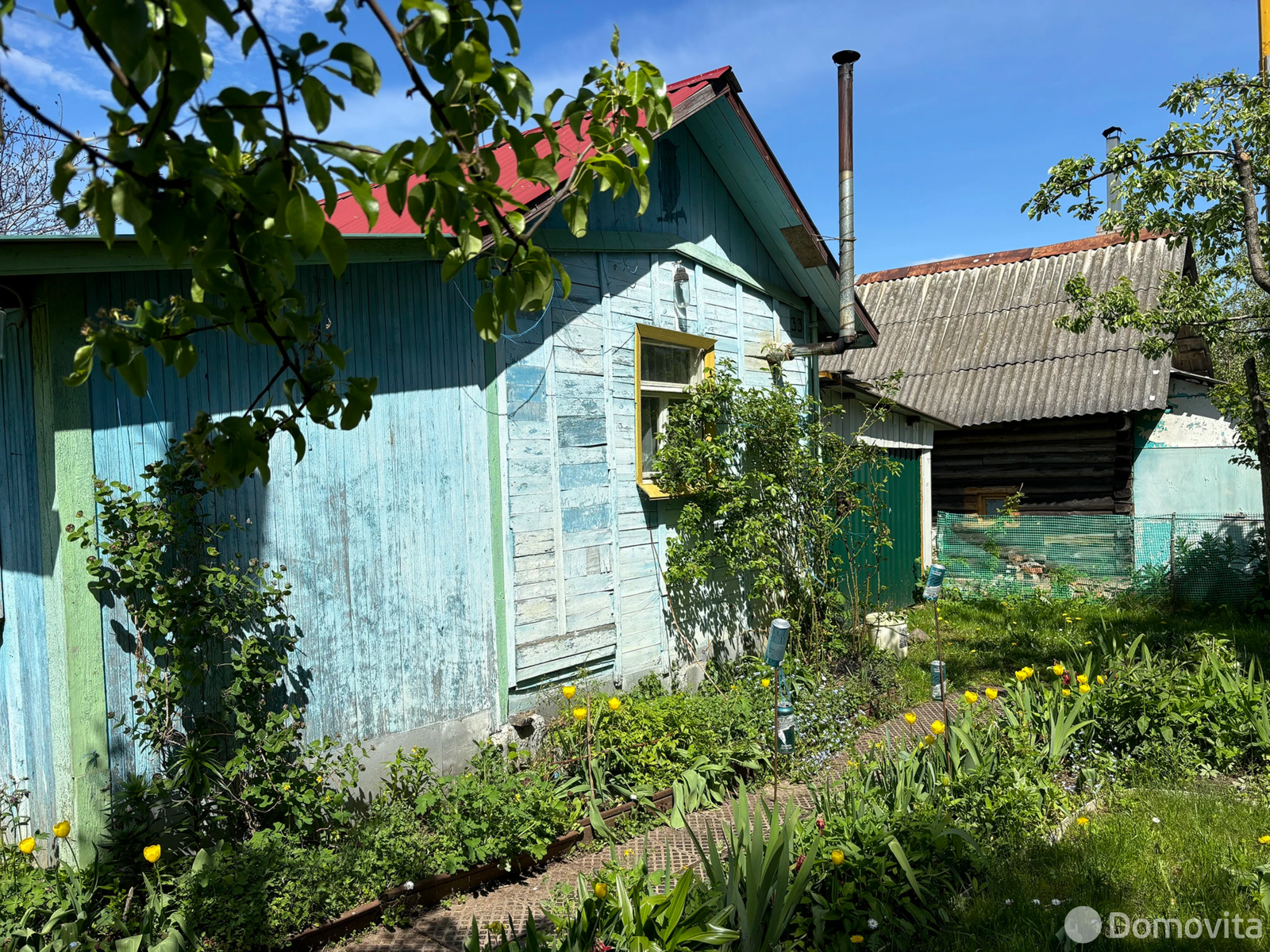 дача, Голубика, 
