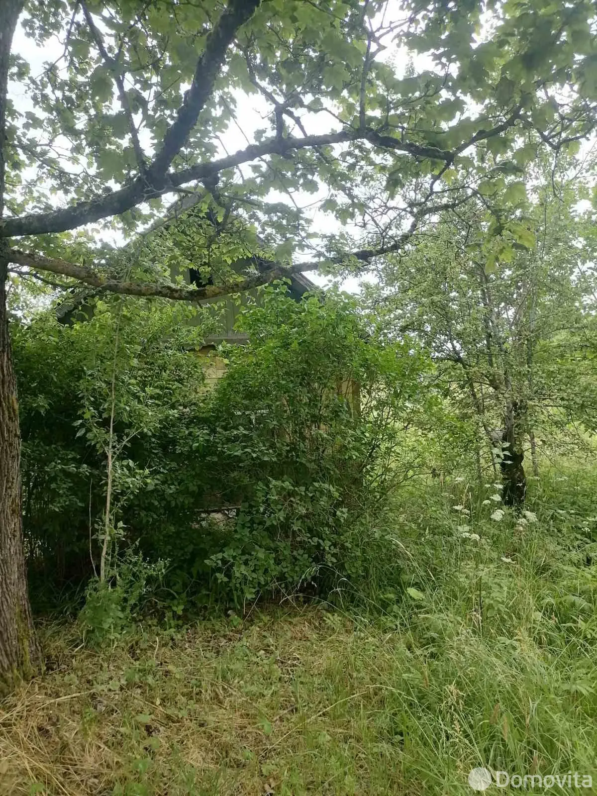 дом, Рожново, 