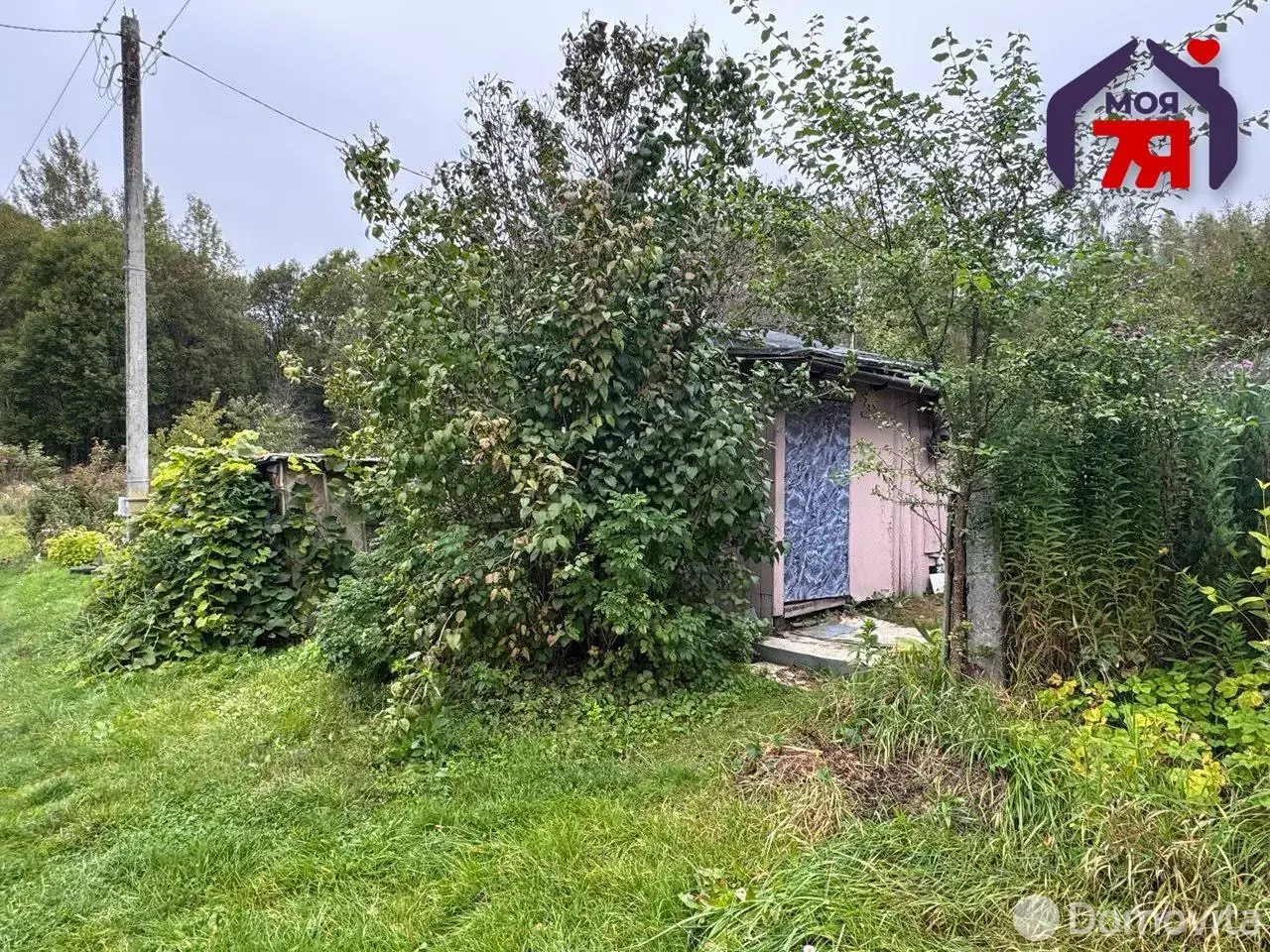 дача, Поляны, , стоимость продажи 20 010 р.