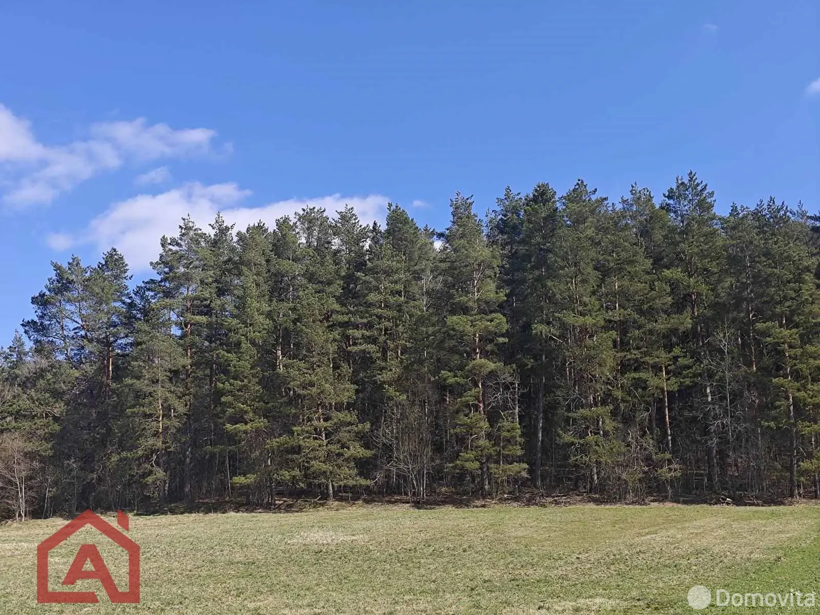 продажа участка, Вяча, ул. Лесная