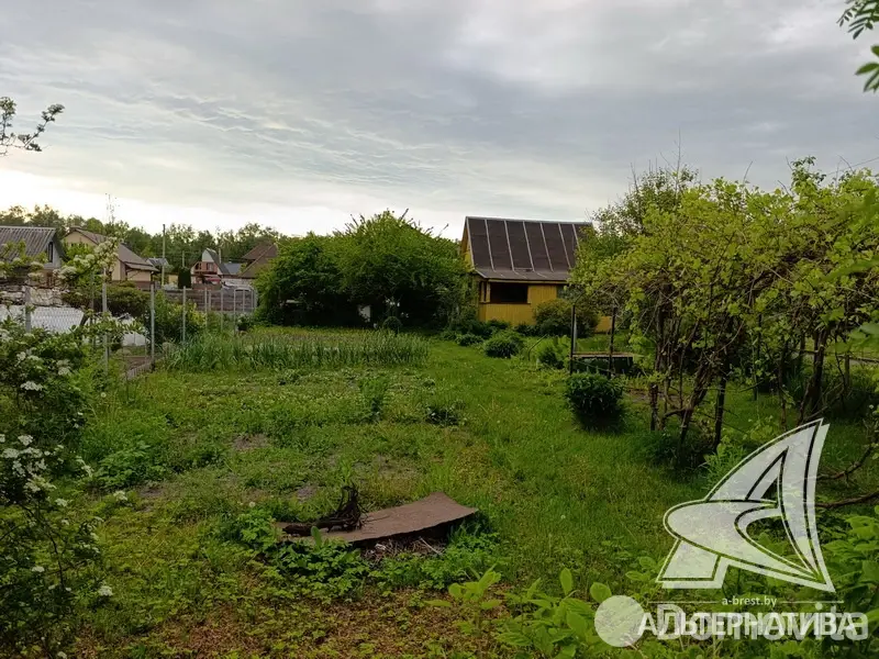 участок, Меркурий ТПП,