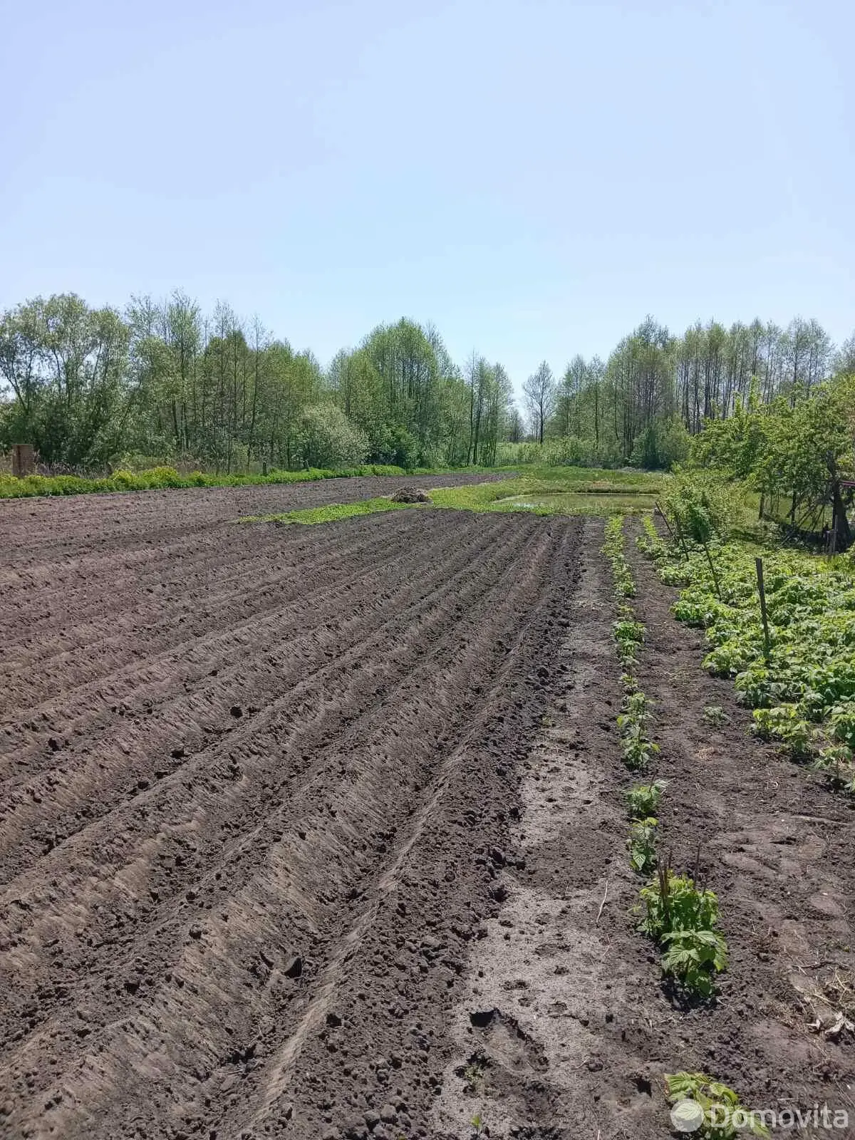 Стоимость продажи дома, Тышковичи, ул. Якуба Коласа