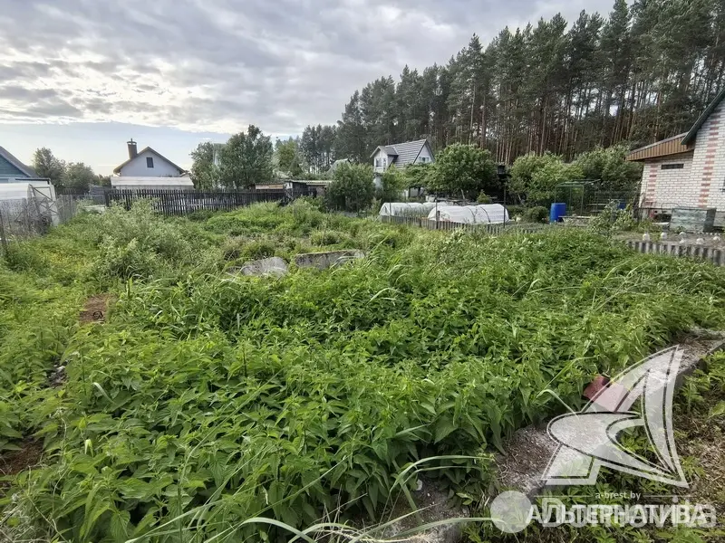 Купить земельный участок, 3.22 соток, Урожай ОАО Брестхлебопродукт, Брестская область, 15125BYN, код 572007 - фото 2