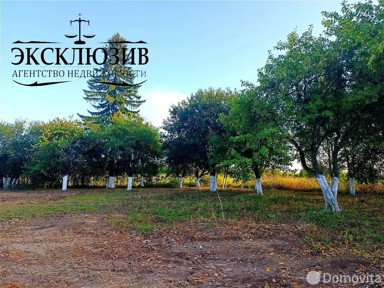 Купить земельный участок, 25 соток, Гиревичи, Минская область, 140000BYN, код 572180 - фото 15