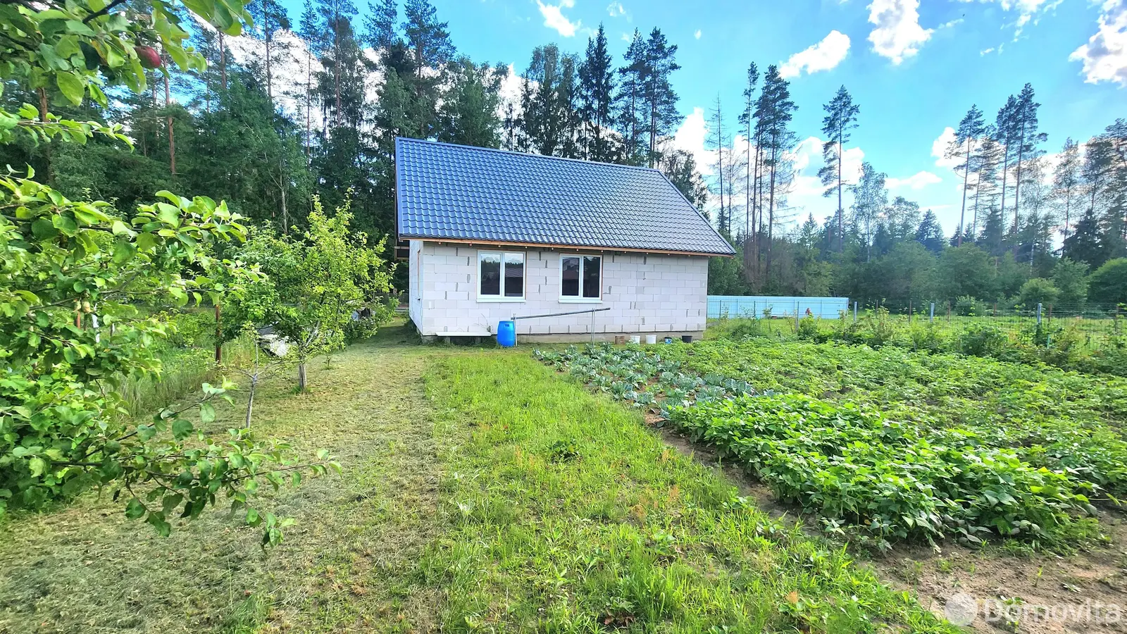 Купить земельный участок, 4.6 соток, Голубой факел, Минская область, 47000USD, код 569813 - фото 18