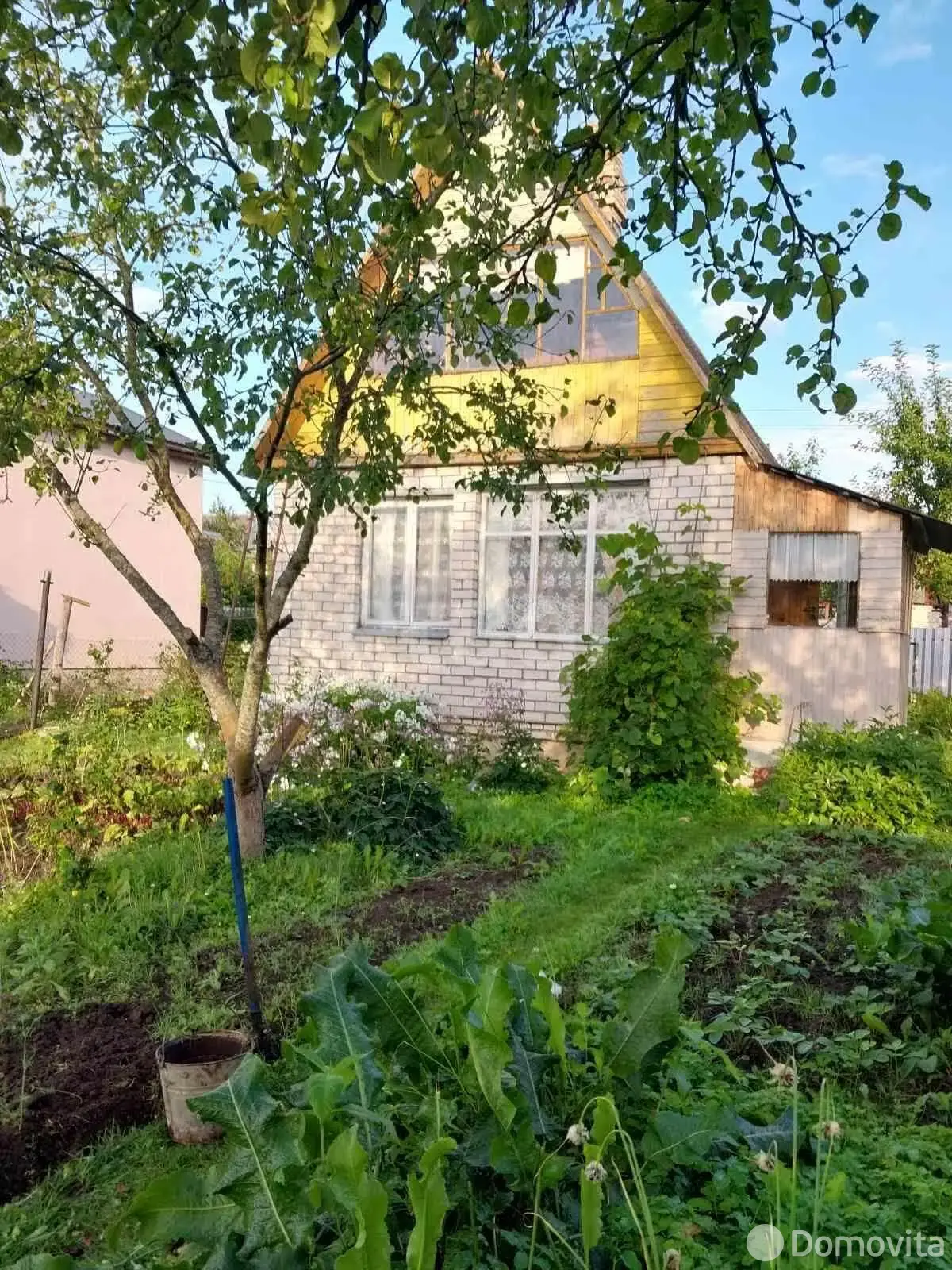 дача, Трикотажник-84, 