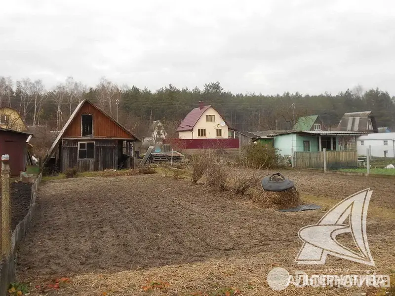 участок, Дубок-Дружба, 