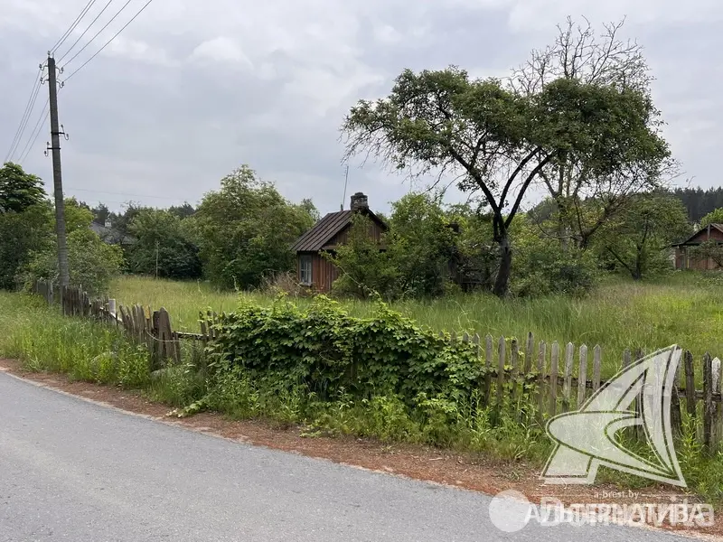 Купить земельный участок, 25 соток, Гули, Брестская область, 44000USD, код 570142 - фото 17