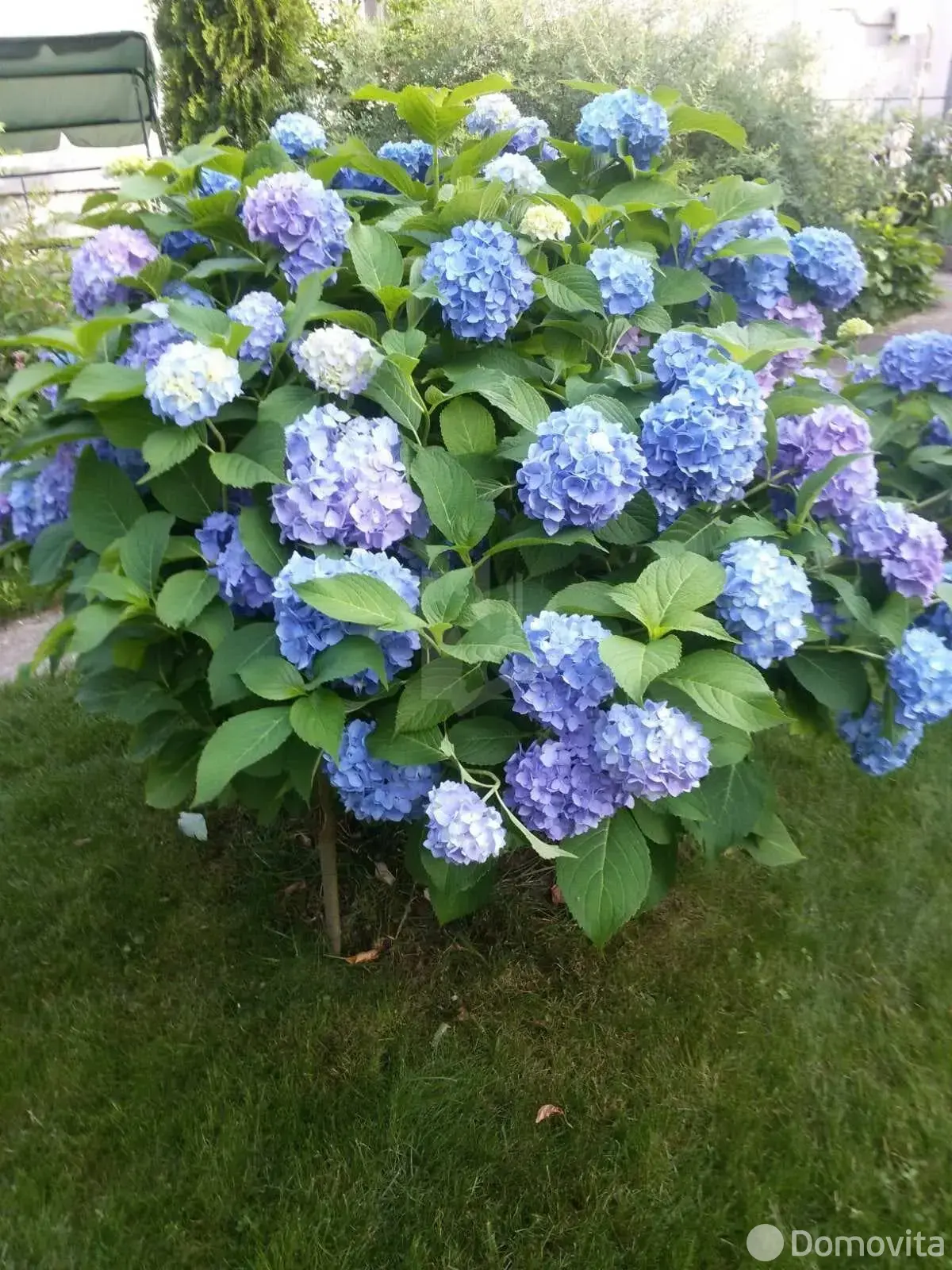 Стоимость продажи дома, Надежда-АРДИ,