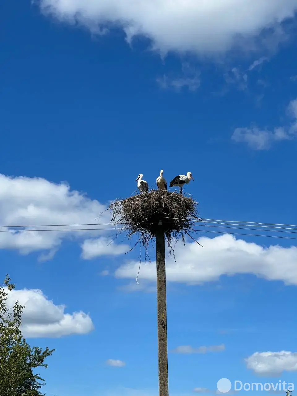 Купить 1-этажную дачу в Малявках Витебская область, 26400USD, код 182906 - фото 18